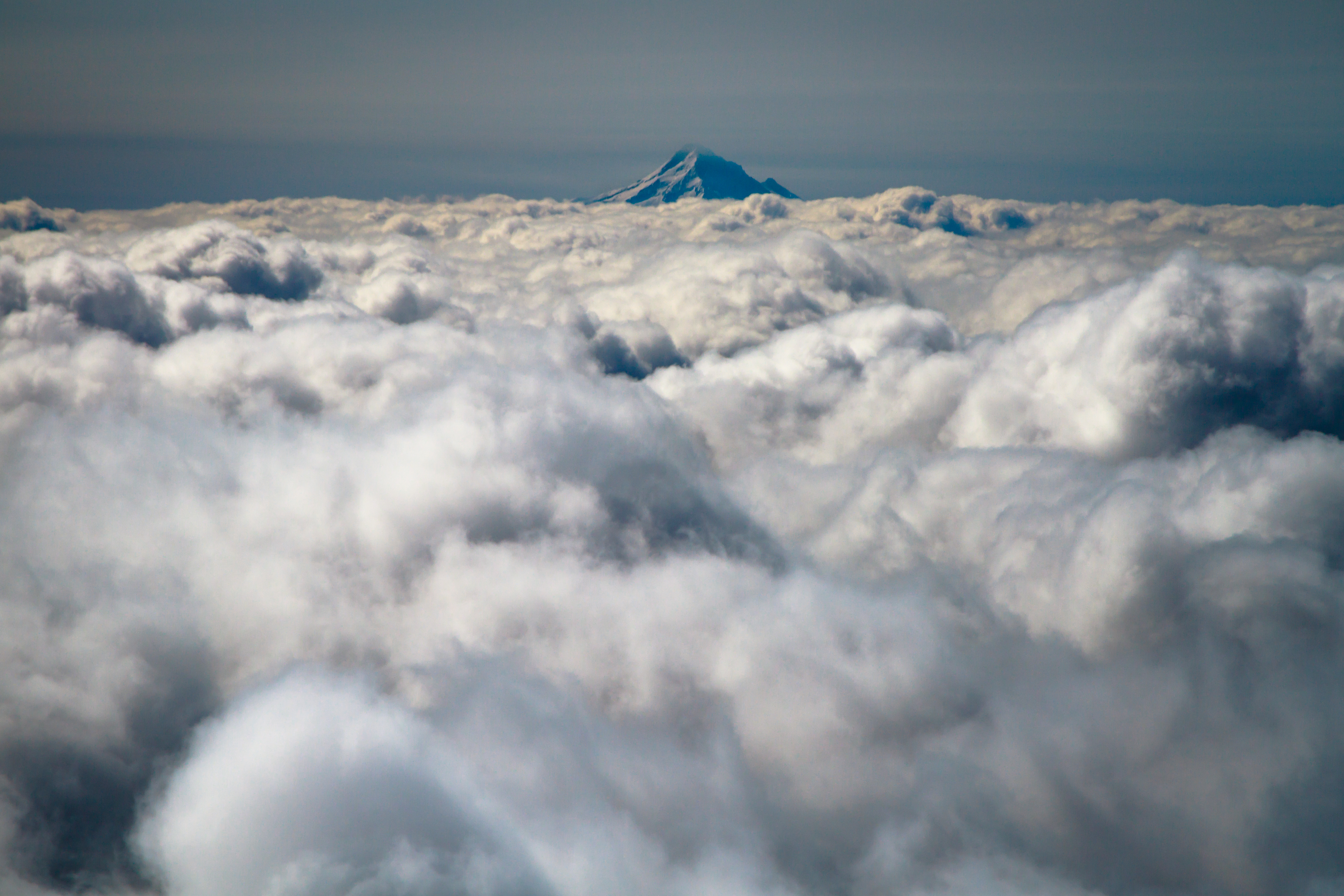 A peak standing above a sea of cloud