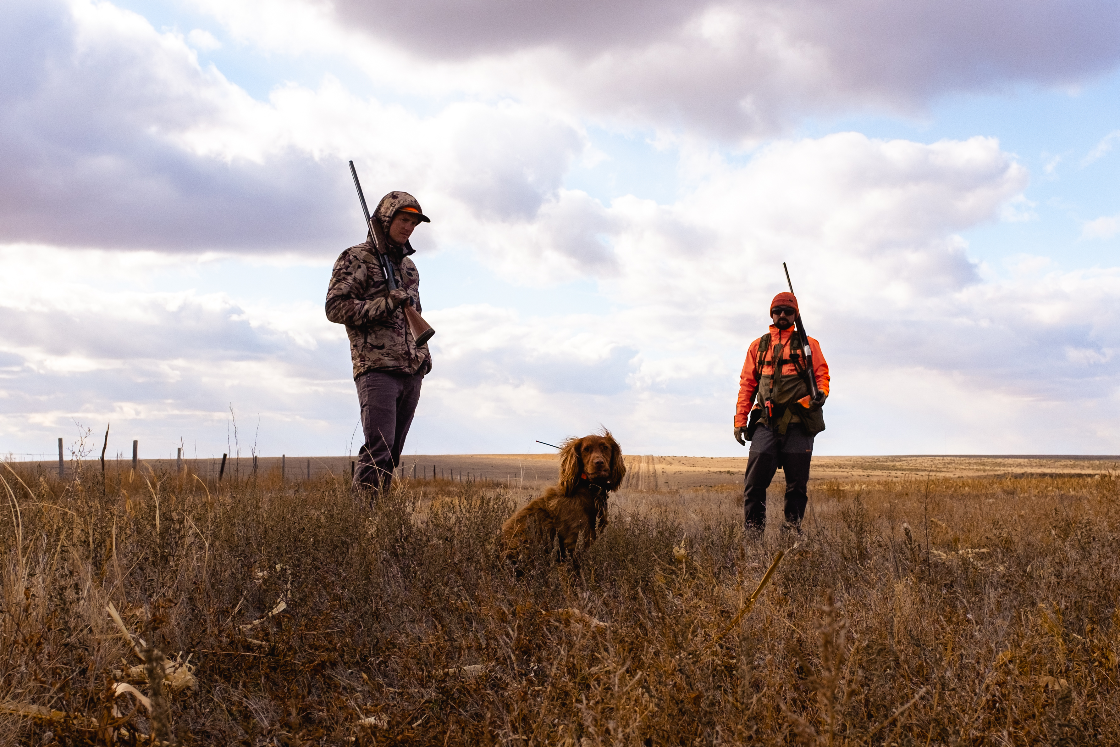 Two upland hunters and a dog in tall grass